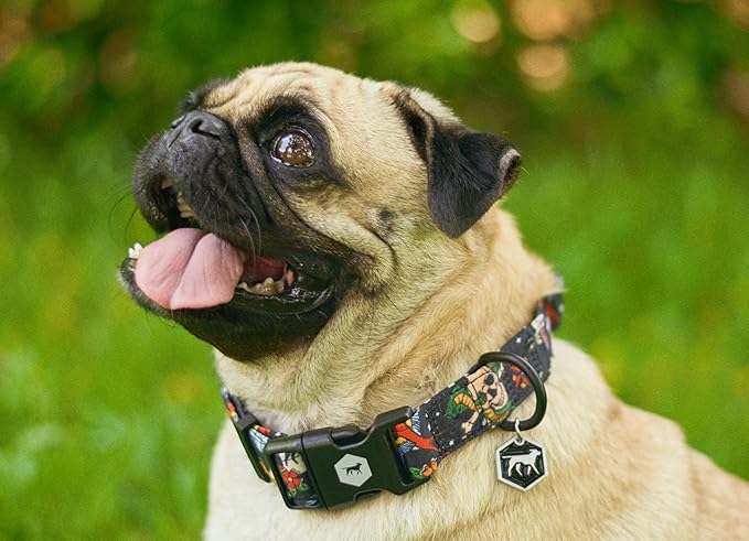 Tuff Pupper Premium Adjustable Dog Collar for Large Boy Dogs, Stylish Pattern Collars Designed in USA, Quick Release Buckle, RebelBlack Print for Male Dogs, Large (1 Inch Wide x 18-26 Inch Neck)