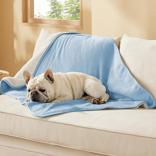 Bedsure Waterproof Dog Blankets for Medium Dogs - Medium Cat Blanket Washable for Couch Protection, Sherpa Fleece Puppy Blanket, Soft Plush Reversible Throw Furniture Protector, 30"X40", Light Blue