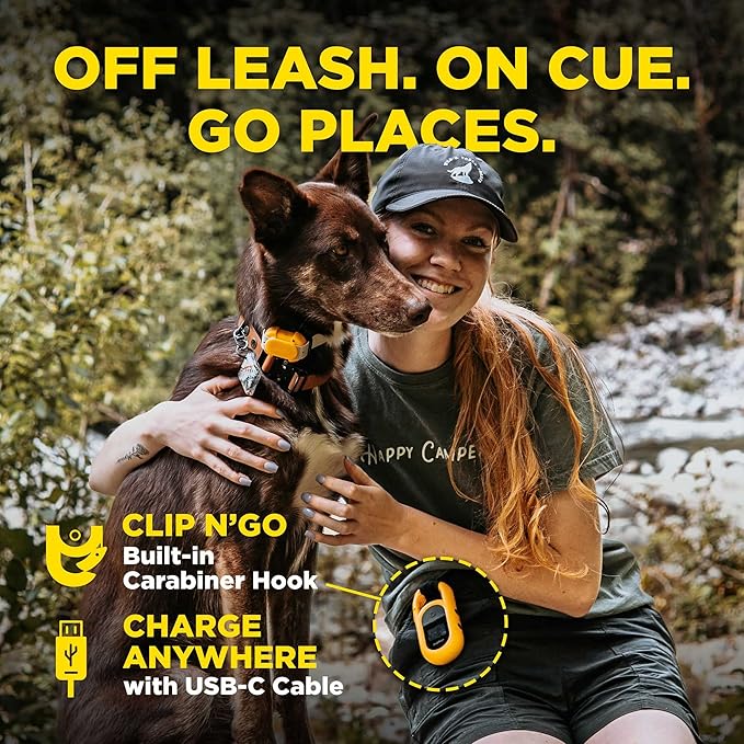 Dogtra CUE Remote Dog Training E-Collar for Small, Medium and Large Dogs - Range of 400 Yards, Waterproof, Vibrating, Rechargeable Correction Ecollar, 24 Training Levels, W/PetsTEK Clicker (2 Dogs)