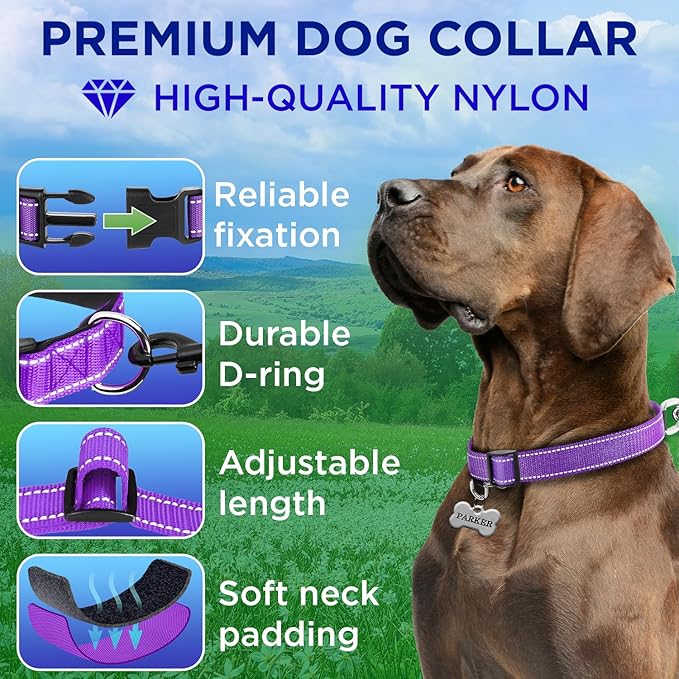TECEUM Reflective Pet Collar – Purple – XXS – Extra Soft Padding – Basic Nylon Dog Collar – Quick Release Buckle – Fits Small, Medium and Large Dogs, Puppies, Cats – ESA & Service Dog Options