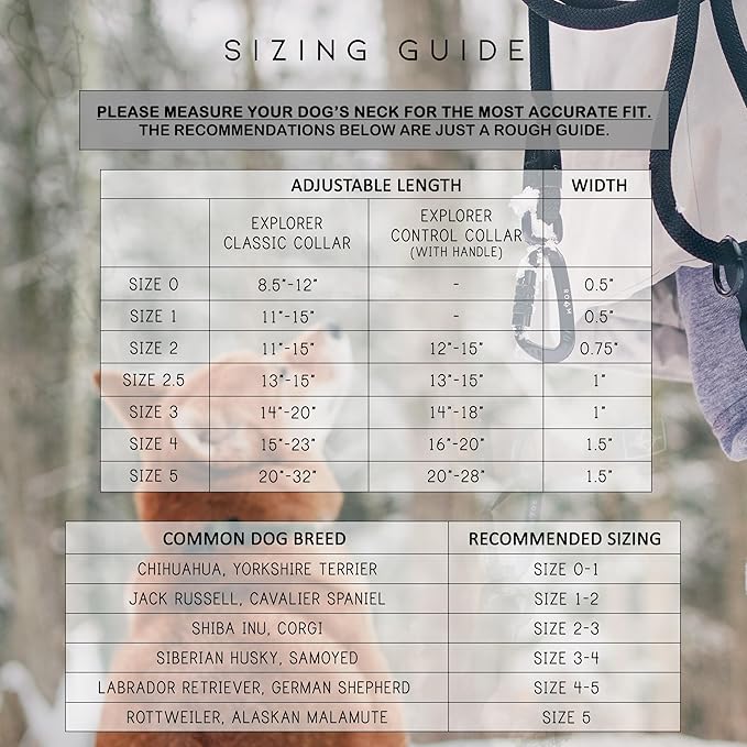 Made to ROAM Premium Dog Collar - Adjustable Heavy Duty Nylon Collar with Quick-Release Metal Buckle (Arizona Sunkissed, Classic Size 3.5, Old Roam Logo)