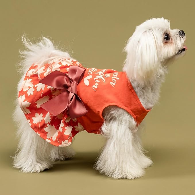 Fitwarm Thanksgiving Sweeter Than Pumpkin Pie Dog Dress 100% Cotton Puppy Costumes Pet Clothes Holiday Girl One-Piece Doggy Outfits Tank Top Vest Dresses Cat Apparel Orange XXS