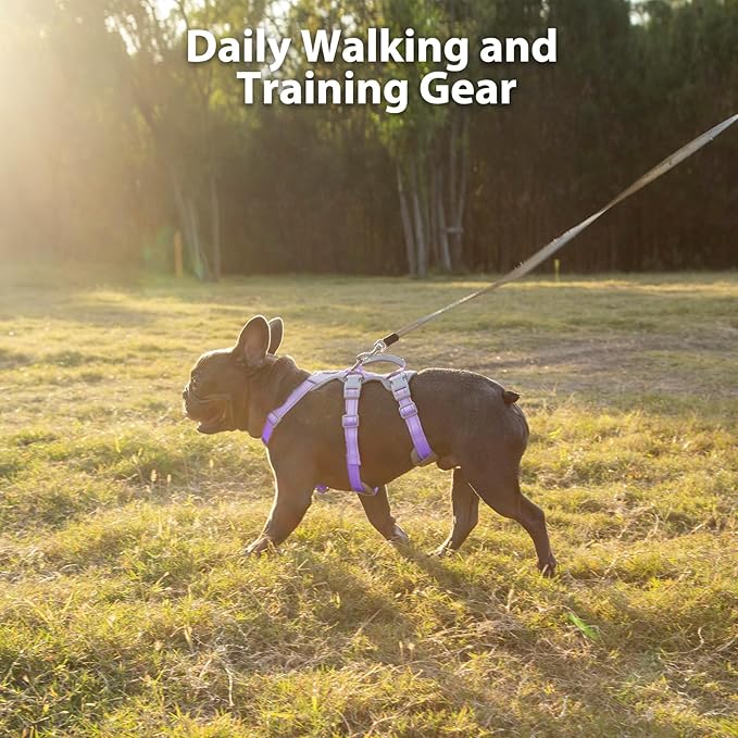 Escape Proof Harness,No Slip Dog Harness Escape Proof,Fully Reflective Harness with Handle,Breathable,Durable,Adjustable Vest for Medium Dogs Walking,Training & Running Gear(Lavender Purple,M)