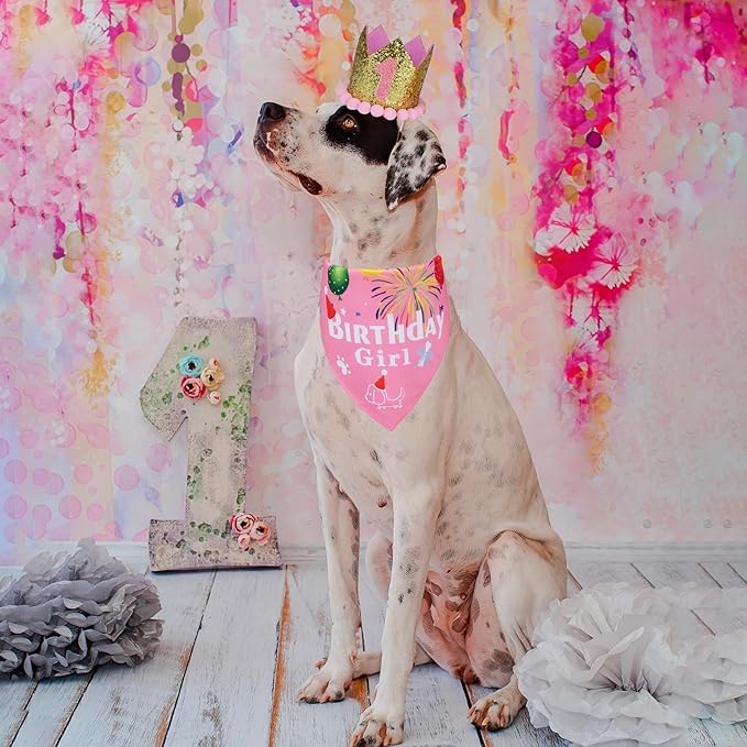 ADOGGYGO Dog Bandana Hat Set for Birthday Party Supply, Boy Girl Pet Birthday Scarf for Medium Large Dog (Large, Pink)