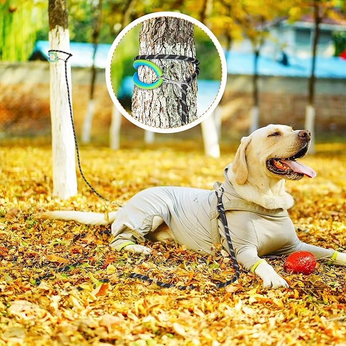 NTR Long Dog Leash, 100FT Check Cord with with 2 Swivel Hooks and Soft Rubber Handle for Pink Leash for Small Medium and Large Dogs Walking Training Hiking Camping Playing-Teal