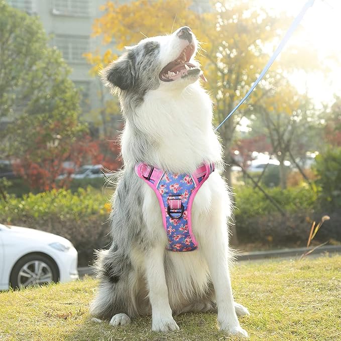 Timos Dog Harness, No-Pull Pet Harness with 2 Leash Clips, 3 Snap Buckles Adjustable Soft Padded Dog Vest, Reflective No-Choke Pet Oxford Vest with Easy Control Handle for Small Medium Large Dogs