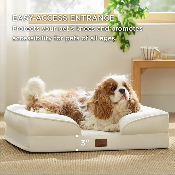 Bedsure Orthopedic Dog Bed for Medium Dogs - Waterproof Dog Sofa Beds Medium, Supportive Foam Pet Couch Bed with Removable Washable Cover, Waterproof Lining and Nonskid Bottom, Ivory