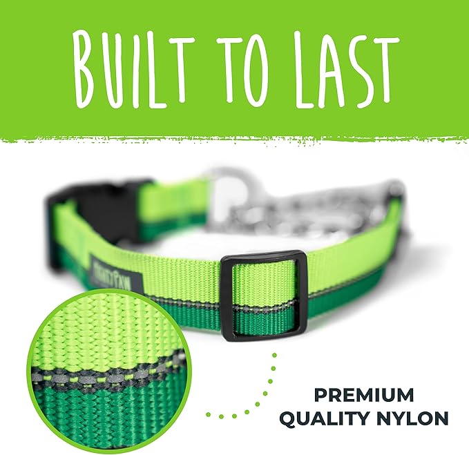 Mighty Paw Martingale Dog Collar - Gentle Correction with No More Pulling - Strong 100% Stainless Steel Chain - Weatherproof Won't Rust - Built to Last Premium Quality Nylon - Durable Plastic Buckle