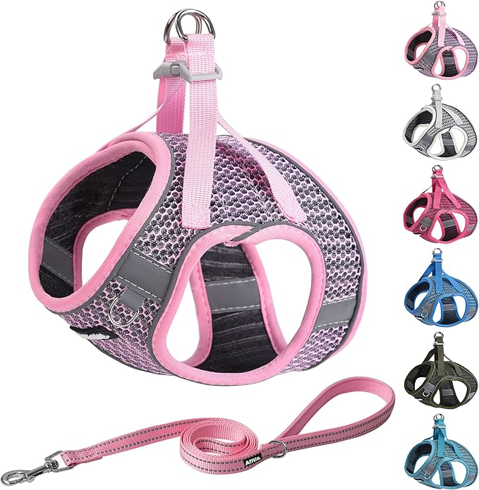 AIITLE Step in Dog Harness and Leash Set for Walking - Adjustable Dog Harness with Padded Vest for All Weather, Reflective Adjustable Pet Harness, Easy to Put on Small Dogs Pink S