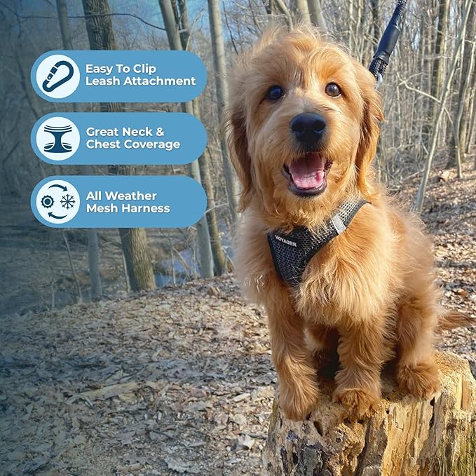 Voyager Step-in Air All Weather Mesh Harness and Reflective Dog 5 ft Leash Combo with Neoprene Handle, for Small, Medium and Large Breed Puppies by Best Pet Supplies - Gray (2-Tone), XS