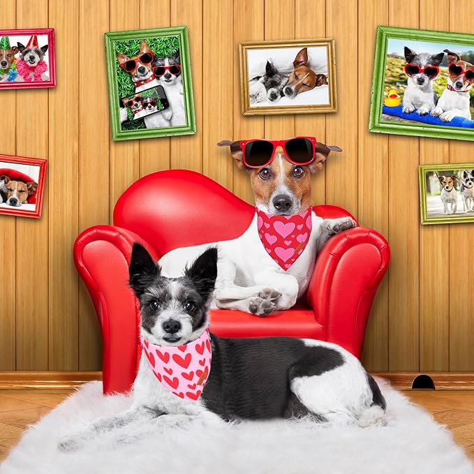 PTDECOR Valentine Dog Bandana, Reversible Valentine Pet Scarf, Multi Size, Red Heart Bandanas for Medium Large Dogs (Large)