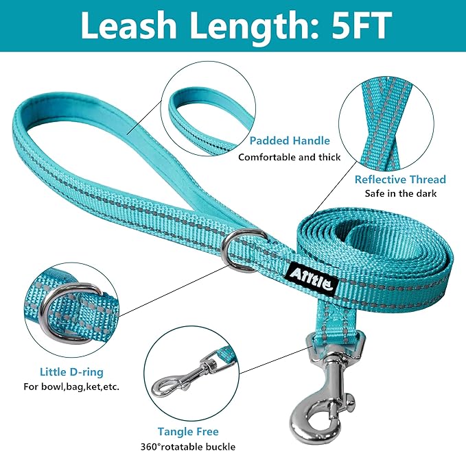 AIITLE No Pull Harness for Small Dogs - Step in Puppy Harness with Super Breathable Mesh, Reflective Adjustable Pet Harness for Outdoor Walking, Training for Small Dogs, Cats Royal Blue XS