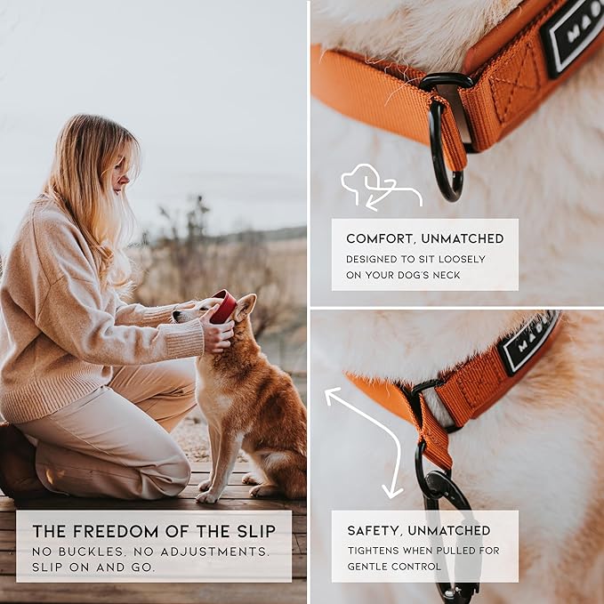 MADE TO ROAM Premium Everyday Dog Collar - Martingale Style No Pull Vegan Leather Collar, Heavy Duty and Lightweight for Small, Medium, Large Dogs (New York Afterlight, Size 12)