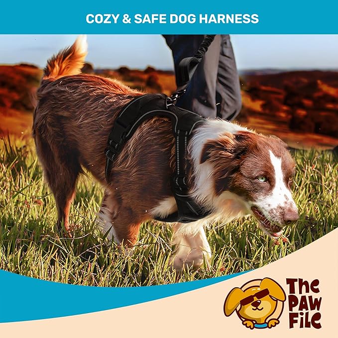 Dog Harness and Leash Set - No Pull Vest & Reflective Leash with Foam Handle, Adjustable Oxford Halter, for Walking & Training - Includes 150 Poop Bags & Bone-Shaped Dispenser - Black, M