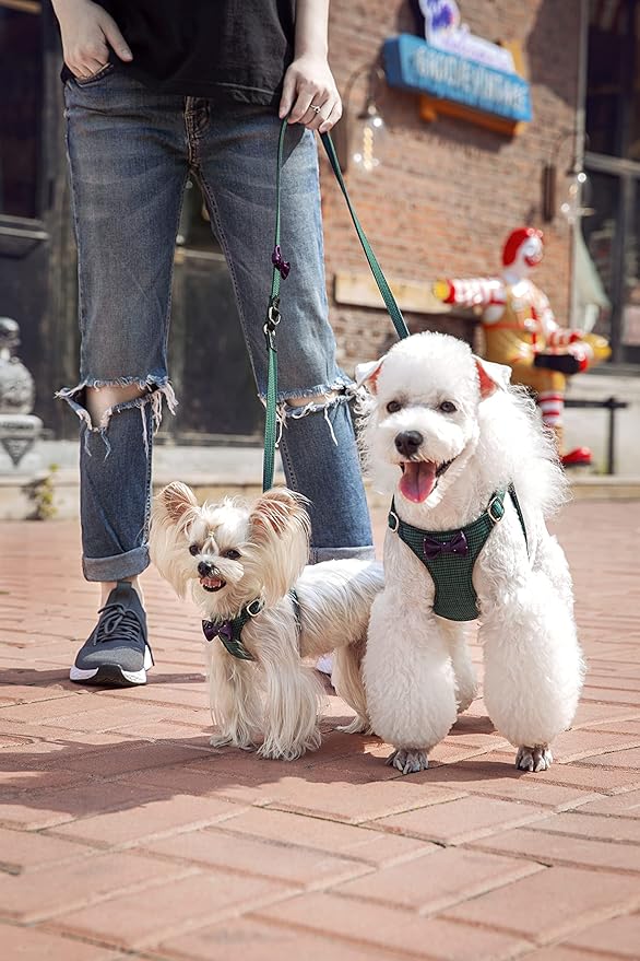 Puppytie No Pull Small Dog Harness with Multifunction Dog Leash,Lightweight Soft Adjustable No Choke Escape Proof Pet Harness Vest Pet Harness Vest,Plaid Green,S