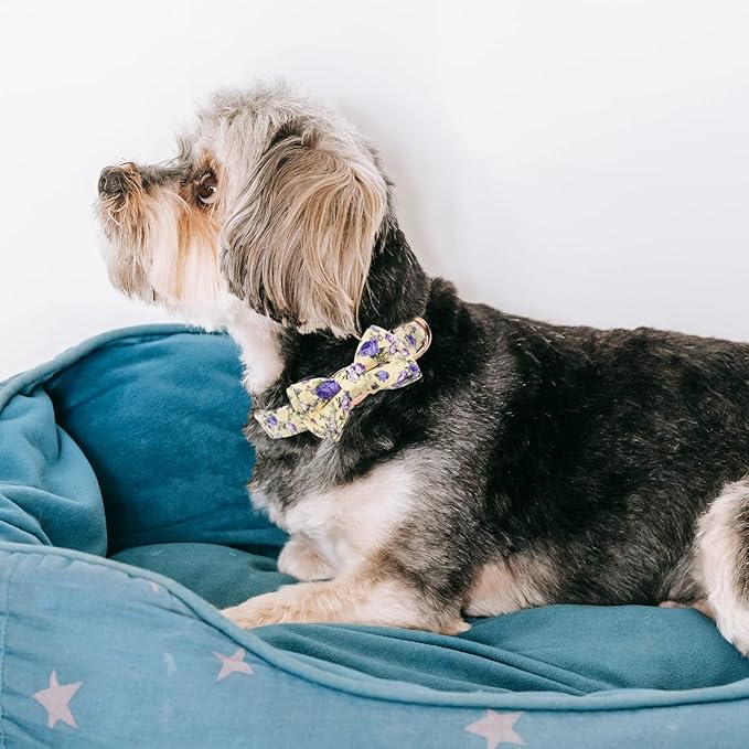 Dog Collar and Leash Set Girls Adjustable Puppy Collars with Floral Bow Tie for Small Medium Large Female Dogs, Purple Rose, L