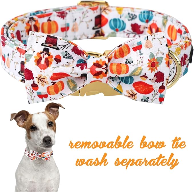 Unique Style Paws Cotton Dog Collar with Bow Halloween Pumpkin Plaid Dog Collar with Bow Tie for Small Medium Large Dogs Pets Gifts
