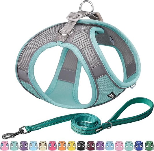 AIITLE Dog Harness, Spring No-Pull Cat Harness with a Leash, Adjustable Reflective Dog Vest, Cat Harness Escape Proof, Outdoor Walking, Camping for Extra Small Dogs and House Cats Turquoise XXXS