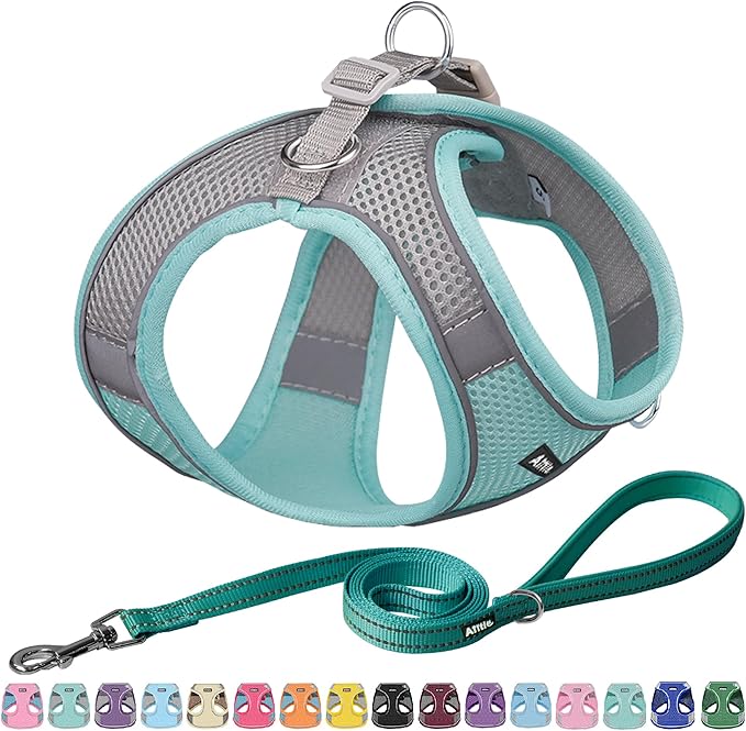 Aiitle Easy Walk Dog Harness and Leash Set - No Pull, Step In Adjustable Dog Harness with Padded Vest for Small Dogs, Turquoise L
