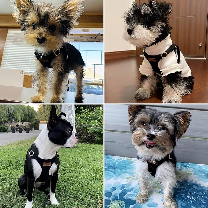 Puppytie No Pull Small Dog Harness with Multifunction Dog Leash,Lightweight Soft Adjustable No Choke Escape Proof Pet Harness Vest Pet Harness Vest,Black,M