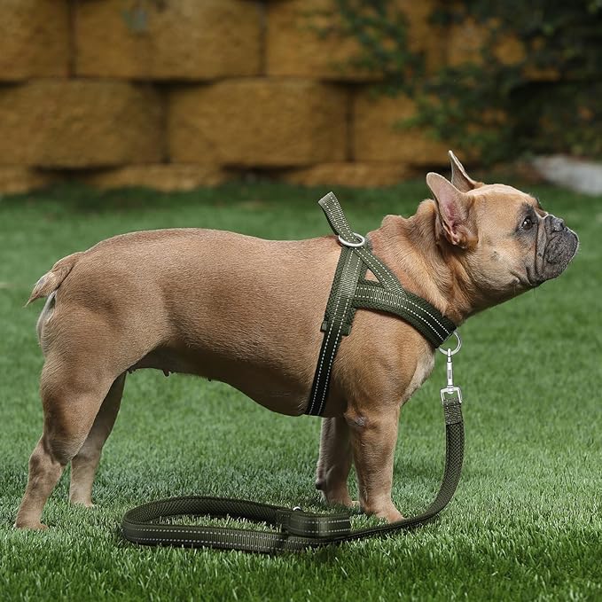 Plutus Pet No Pull Dog Harness with Breathable Mesh Padded, Adjustable Reflective Escape Proof Dog Harness, Quick Fit Dog Vest Harness for Small Medium Large Dogs(XL, Ranger Green)