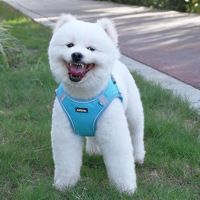 AIITLE No Pull Dog Harness and Leash Set, Step in Adjustable Dog Harness with Padded Vest for All Weather, Reflective Pet Harness, Easy to Put on Small Dogs Blue S