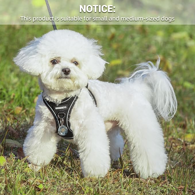 Dog Harness and Leash Set, Dog Harness for Dogs No Pull, No-Chock Step-in Reflective Breathable Lightweight Easy Walk Vest Harnesses with Safety Buckle for Small Medium Dogs, Cats (Black, M)