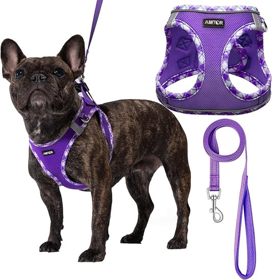 AMTOR Small Dog Harness with Leash Set, No Escape Easy Walk Puppy Harnesses for Training Walking, Step-in Reflective Soft Dogs Vest for XS S Medium Extra-Small Large Sized Dog(Purple,XL)