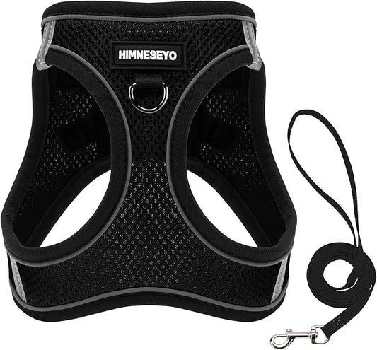 Dog Harness and Leash Set, Dog Harness for Dogs No Pull, No-Chock Step-in Reflective Breathable Lightweight Easy Walk Vest Harnesses with Safety Buckle for Small Medium Dogs, Cats (Black, XXS)