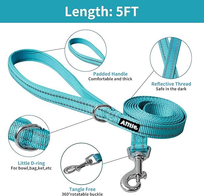 AIITLE Puppy Harness - Lightweight Air Mesh - Step in Harness with Leash - No Pull & No Choke Padded Vest - Reflective - Small Dogs & Cats - Royal Blue XXS