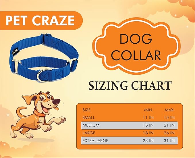 Martingale Dog Collar - Heavyduty Nylon Dog Collar with No Buckle Dog Training Collars for Medium Dogs (Blue, Small)