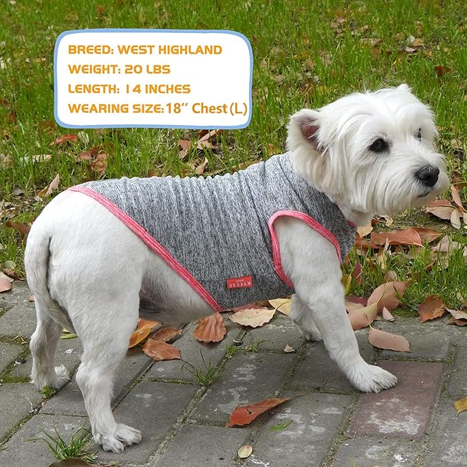 KYEESE 2 Pack Dog Shirts Quick Dry Soft Stretchy Dog T-Shirts with Reflective Label Tank Top Sleeveless Vest for Small Dogs Sun Protection Pet Clothes, Coral Red+Grey, XL