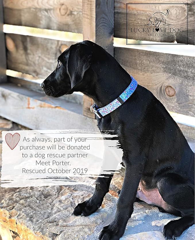 Lucky Love Dog Dog Collar, Leash Set Small, Medium, Large, Premium, Cute and Adjustable Collars for Male and Female Dogs, Winterblue Combo, Extra Small