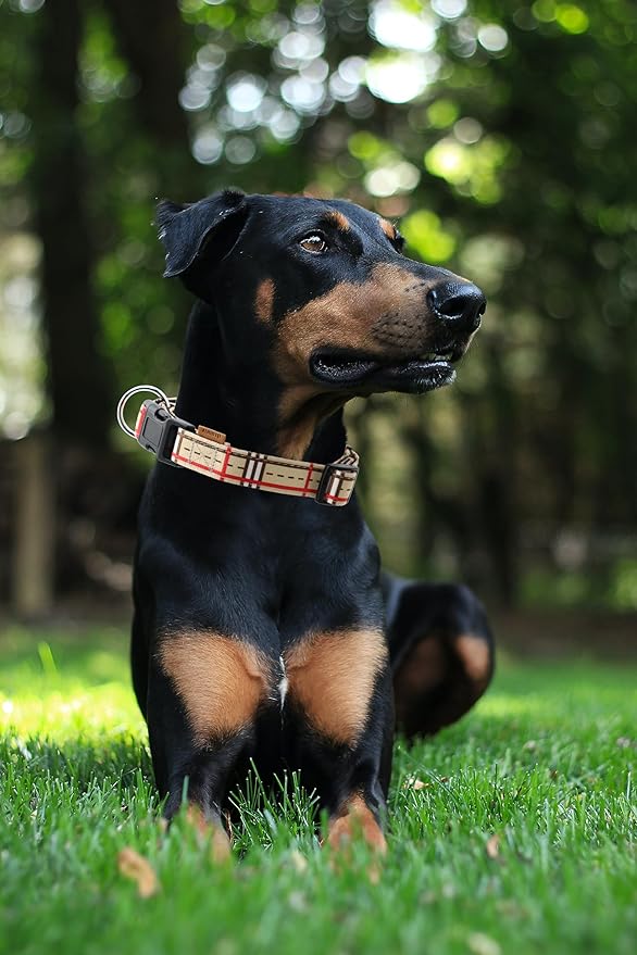 Dog Collar, Cute Stripe Pattern, Neoprene Padded and Adjustable Collar with Quick Release Buckle, Reinforced Structure (L (Neck 18-28", Width 1"), Stripe Cream)
