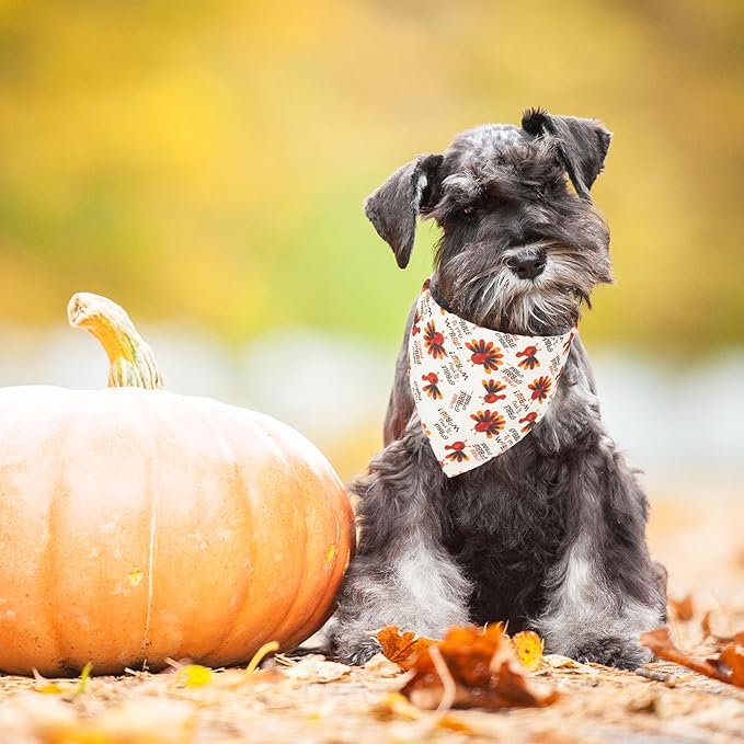 ADOGGYGO Thanksgiving Dog Bandana Fall Autumn Pet Bandana Reversible Triangle Bibs Scarf Accessories for Small Dogs Pets (Small, Thanksgiving)
