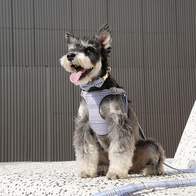 Beirui Cute Small Dog Harness Collar and Leash Set with Bowtie, Soft Adjustable Plaid Puppy Harness for Small Sized Dogs Cats Walks Parties and Photoshoots(Blue,XXS:Chest 12-14")