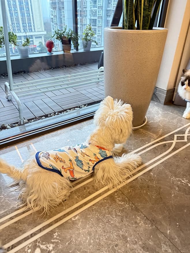 Dog Clothes Puppy Cute Dinosaur Shirt Pet Cotton Shirt Dog Vest Cat Clothes Dogs Boy Girl T Shirts for Small Dog Cat Teacup Chihuahua Yorkie (Dino Vest, X-Small)