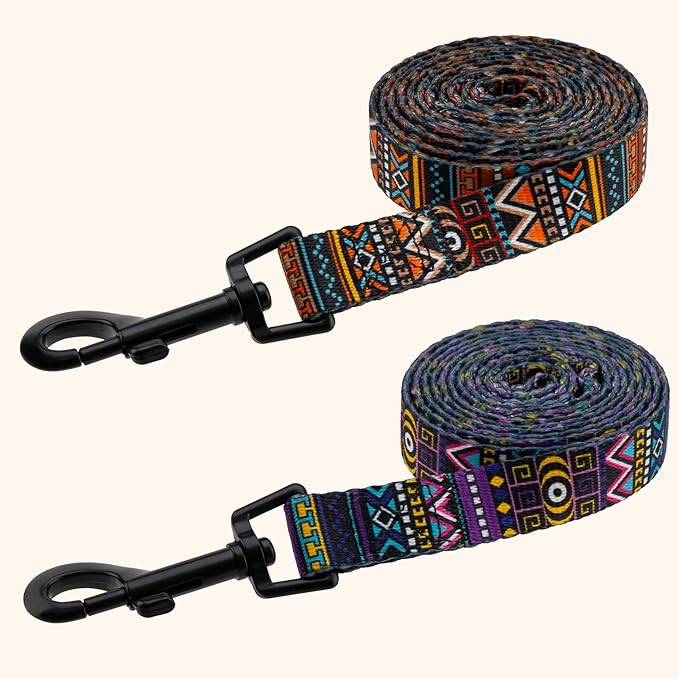 CollarDirect Aztec Dog Leash Nylon Tribal Pattern Cat Pet Leashes for Small Medium Large Dogs Puppy Lead 5 FT Long for Walking (Aztec Sunset, M, New)