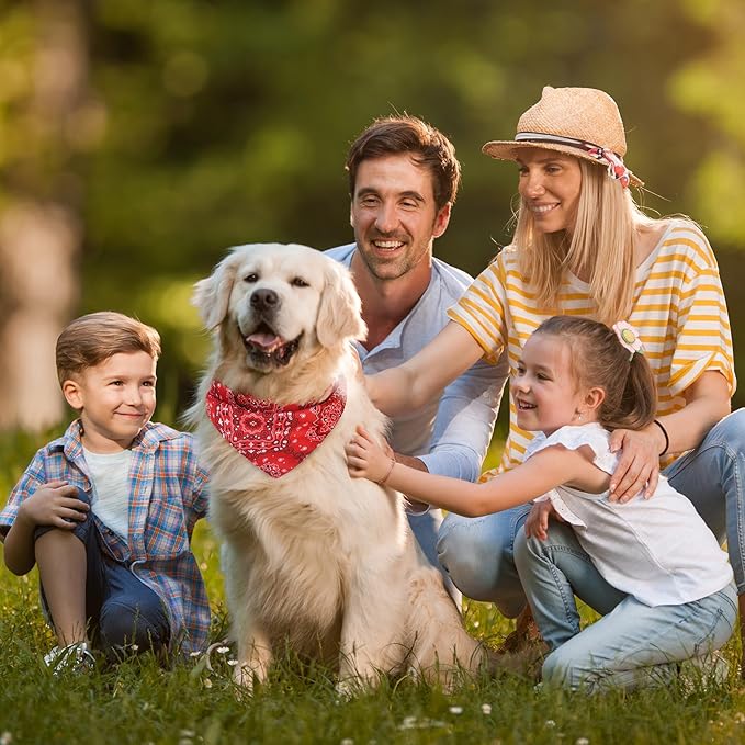 PAWCHIE Dog Bandanas Small Reversible Styles Pet Triangle Scarf Bibs - Adjustable with Two Snaps - Kerchief Set Accessories for Dogs, Puppy, Cats, L