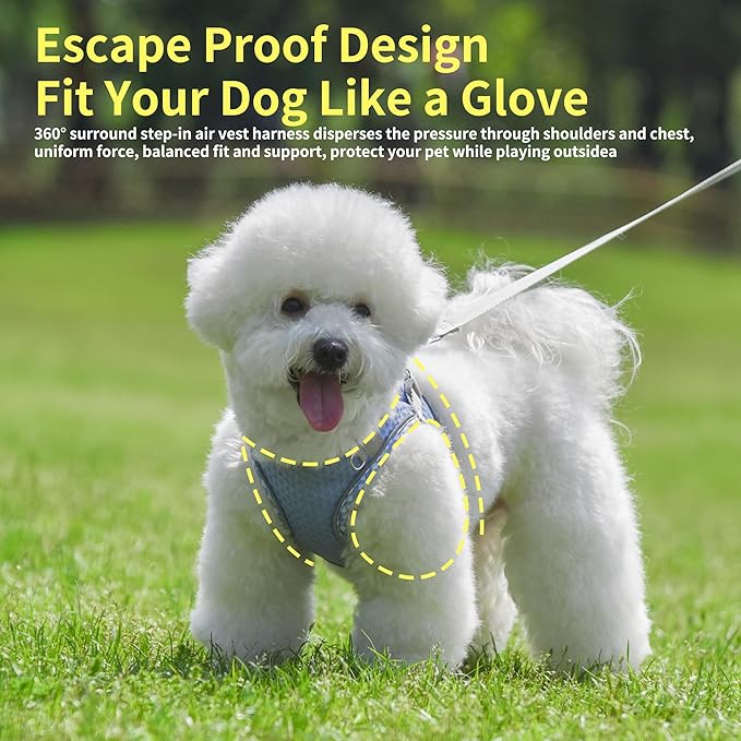 Summer Soft Dog Harness and Leash Set,Ultra Thin Breathable Diamond Mesh, Step in Adjustable Dog Harness with Padded Vest for Medium Size Dogs in Hot Weather Lavender L