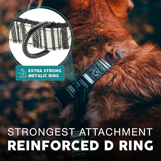 Embark Adventure Dog Collar – Stylish & Durable Nylon Collar for Medium Dogs,Comfortable & Adjustable Pet Collar for Medium Sized Dog with Strong Buckles