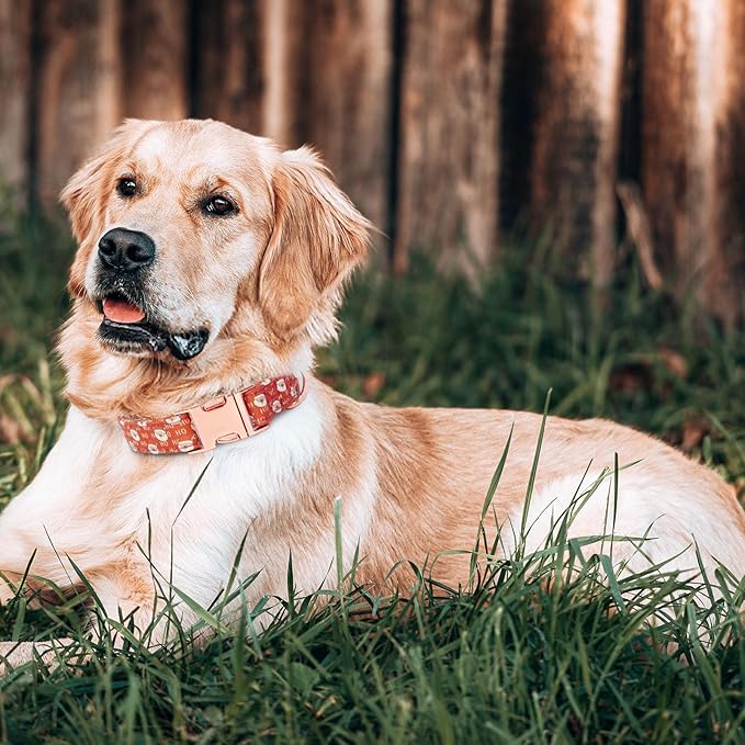 Dog Collar and Leash Set Girls Adjustable Puppy Collars with Christmas Bow Tie for Small Medium Large Female Dogs, Red Santa Claus, S