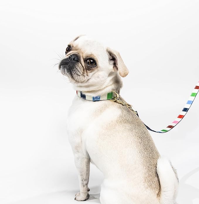 kate spade new york Cute Dog Collar with Gold Metal Details & Plastic Buckle, 10.5” to 13.5” Adjustable Dog Collar for Female or Male Dogs, Small to Medium Dogs (Adventure Stripe)