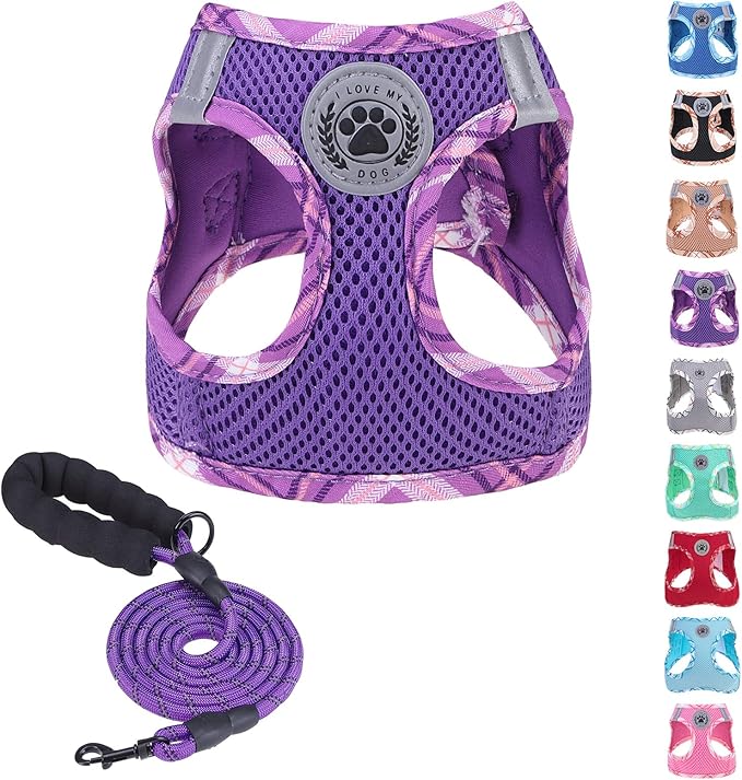 BEAUTYZOO Dog Harness and Leash Set for Small Medium Dogs,No Pull Step-in Harness for Puppy S M Sized Dogs and Cats,Air Mesh Adjustable Breathable Soft No Chock Escape Proof Vest Harnesses,Purple XXS