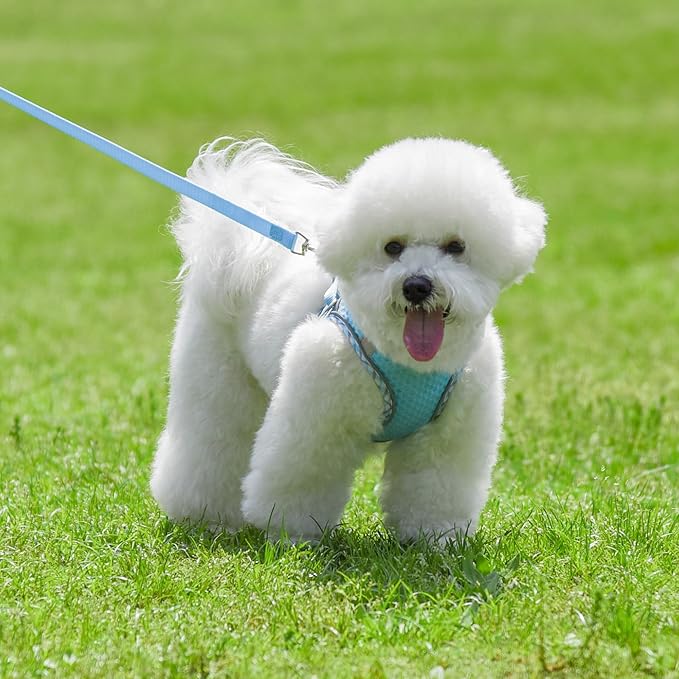 Soft Dog Harness and Leash Set for Walking, Summer Step in Vest Harness, Reflective Bands, Ultra Thin Breathable Pet Supplies, for Extra Small Dogs and House Cats Blue XS