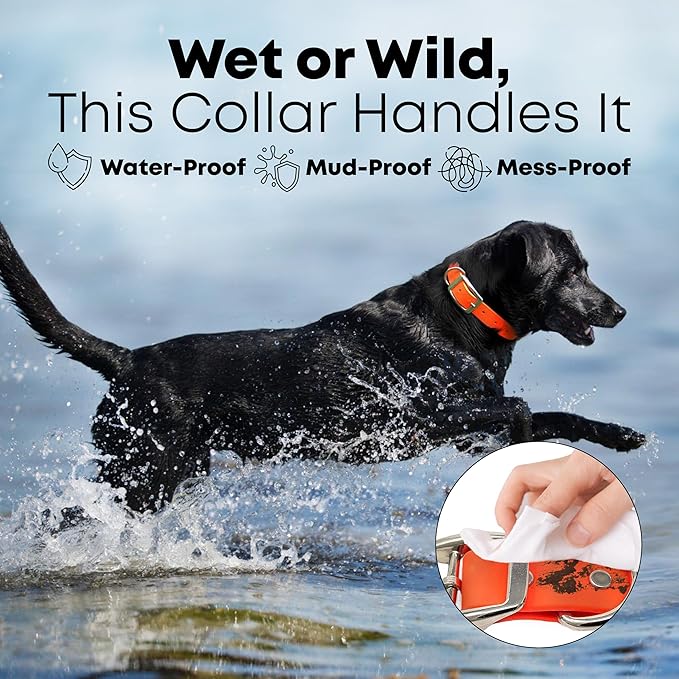 Regal Dog Products Small Orange Waterproof Dog Collar and Leash Set | Heavy Duty Double Buckle & D Ring - 5'ft Leash | Adjustable Biothane Dog Collar | Chew Resistant Waterproof Collar for Dogs