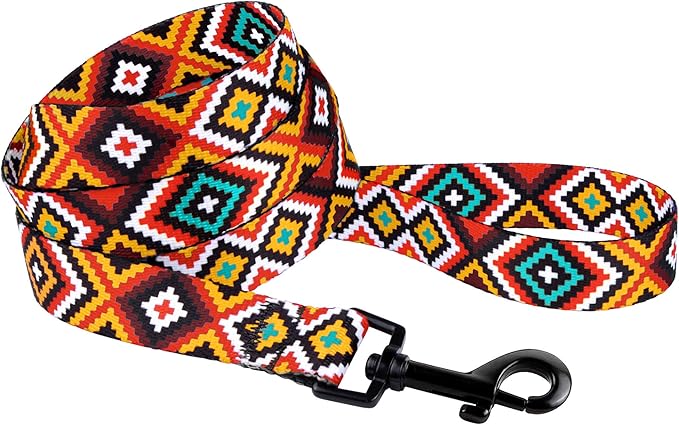CollarDirect Aztec Dog Leash Nylon Tribal Pattern Cat Pet Leashes for Small Medium Large Dogs Puppy Lead 5 FT Long for Walking (Aztec Sunset, M)