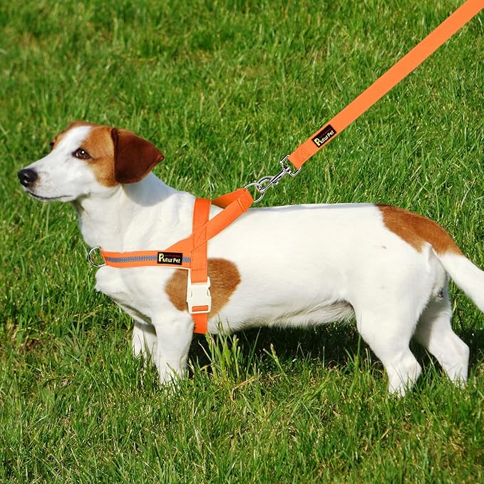 Plutus Pet Cotton Dog Harness and Leash Set, Reflective and Soft Padded, Quick Fit Vest Harness, for Small, Medium and Large Dogs, Orange, L
