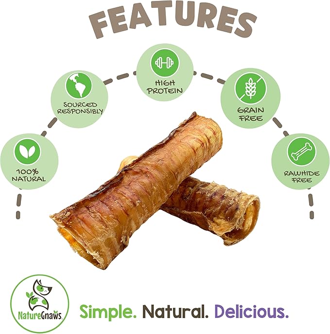Nature Gnaws Beef Trachea Chews for Dogs 6" (6 Count) - Long Lasting Natural Crunchy Dog Chew Bones - Rawhide Free