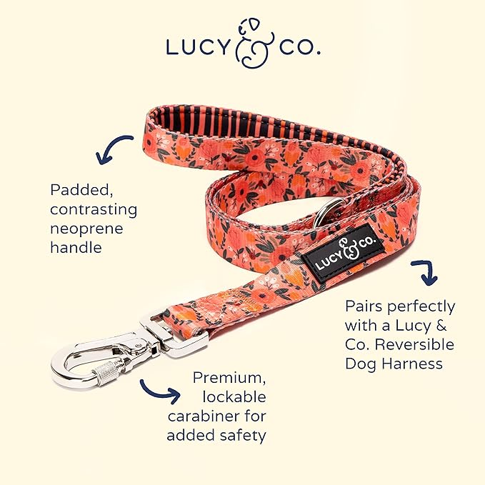 Lucy & Co. 5 Foot Dog Leash - Best Designer Dog Leash - Small, Posy Pink